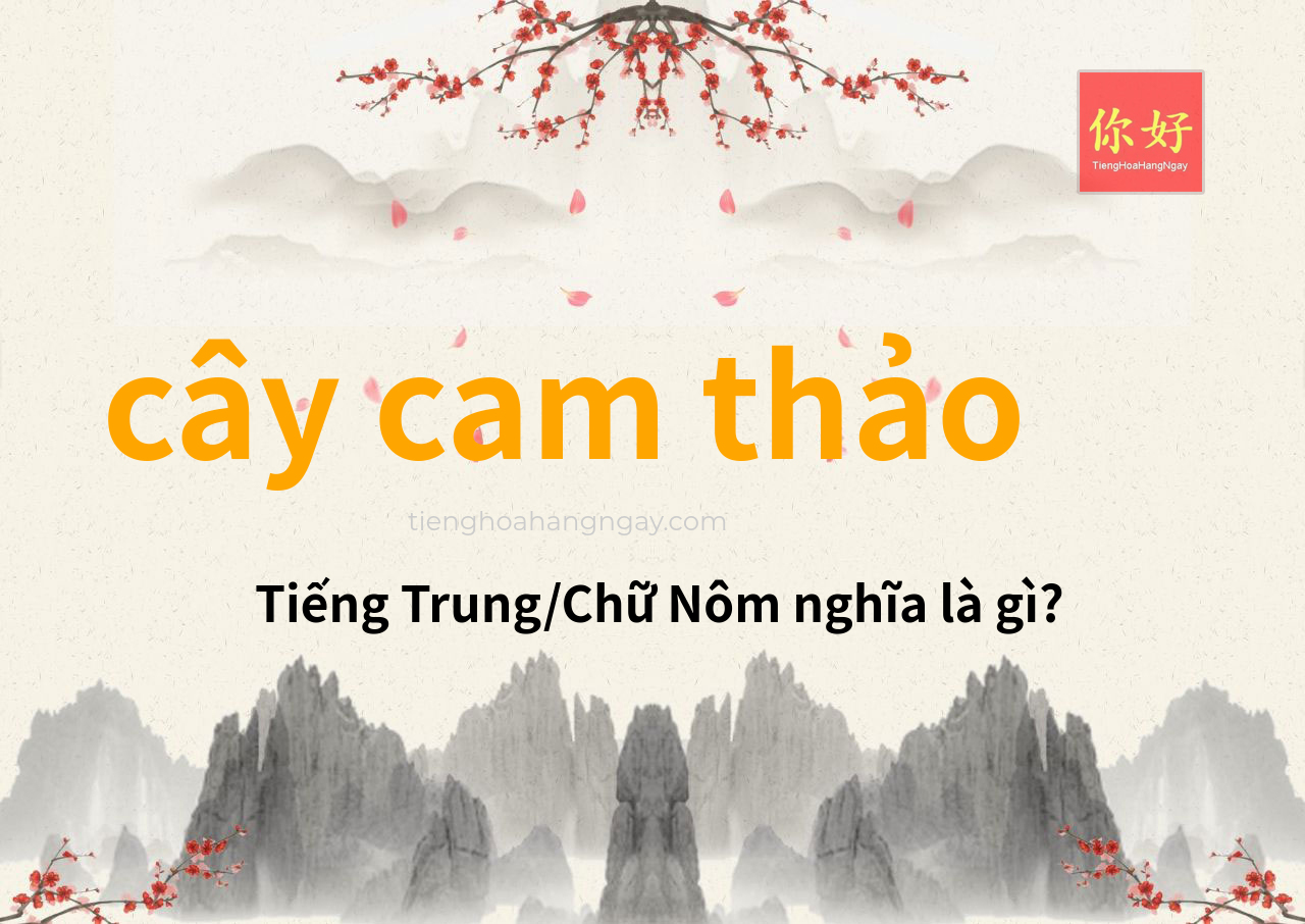 cây cam thảo tiếng Trung là gì?